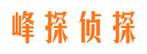 尉犁市调查取证